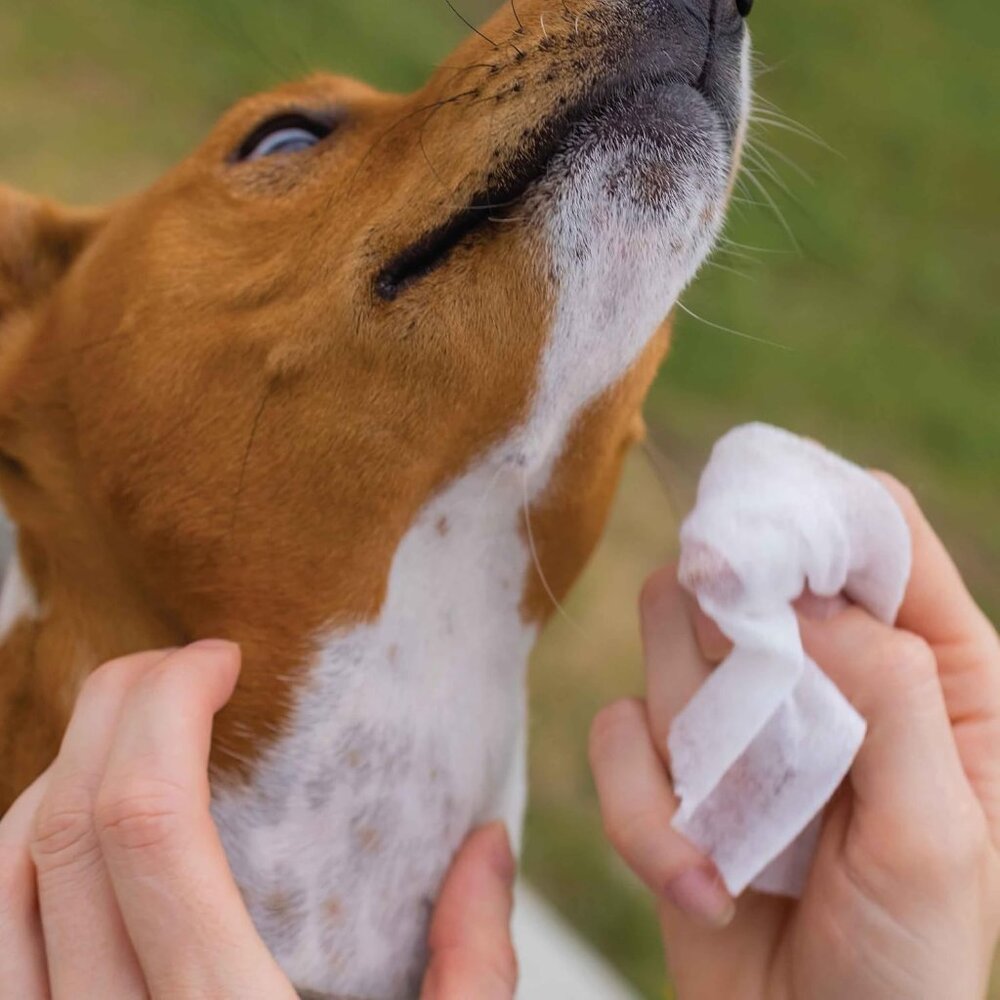 110 Pack Pet Grooming Wipes - Large & Extra-Large Sizes - Lavender, Aloe, & Unsc - Picture 9 of 10
